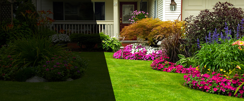 Marcy Landscapers